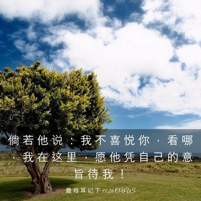 Picture 03 - 撒 母 耳 记 下 15:26 CUVS - 倘 若 他 说 ： 我 不 喜 悦 你 ， 看 - Bible Verse Picture