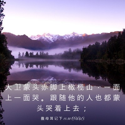 Picture 03 - 撒 母 耳 记 下 15:30 CUVS - 大 卫 蒙 头 赤 脚 上 橄 榄 山 ， 一 - Bible Verse Picture