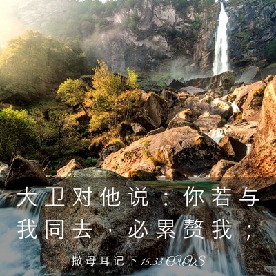 Picture 03 - 撒 母 耳 记 下 15:33 CUVS - 大 卫 对 他 说 ： 你 若 与 我 同 去 - Bible Verse Picture