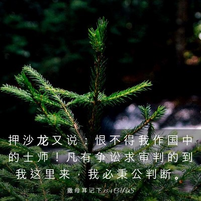 Picture 03 - 撒 母 耳 记 下 15:4 CUVS - 押 沙 龙 又 说 ： 恨 不 得 我 作 国 - Bible Verse Picture