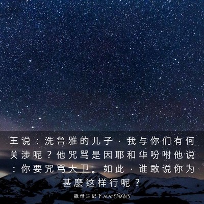 Picture 03 - 撒 母 耳 记 下 16:10 CUVS - 王 说 ： 洗 鲁 雅 的 儿 子 ， 我 与 - Bible Verse Picture