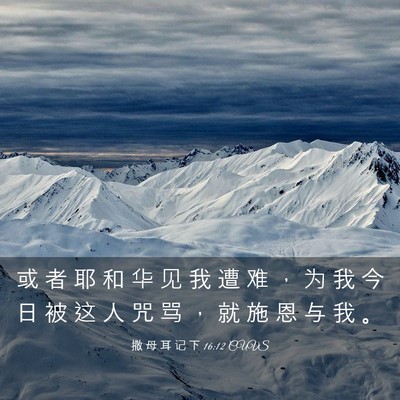 Picture 03 - 撒 母 耳 记 下 16:12 CUVS - 或 者 耶 和 华 见 我 遭 难 ， 为 我 - Bible Verse Picture