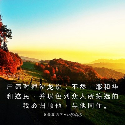 Picture 03 - 撒 母 耳 记 下 16:18 CUVS - 户 筛 对 押 沙 龙 说 ： 不 然 ， 耶 - Bible Verse Picture