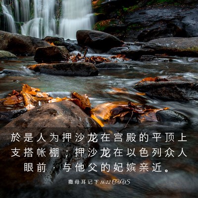 Picture 03 - 撒 母 耳 记 下 16:22 CUVS - 於 是 人 为 押 沙 龙 在 宫 殿 的 平 - Bible Verse Picture