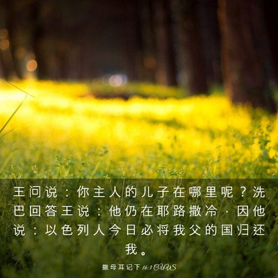 Picture 03 - 撒 母 耳 记 下 16:3 CUVS - 王 问 说 ： 你 主 人 的 儿 子 在 哪 - Bible Verse Picture