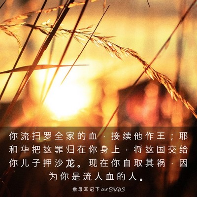 Picture 03 - 撒 母 耳 记 下 16:8 CUVS - 你 流 扫 罗 全 家 的 血 ， 接 续 他 - Bible Verse Picture