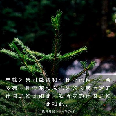 Picture 03 - 撒 母 耳 记 下 17:15 CUVS - 户 筛 对 祭 司 撒 督 和 亚 比 亚 他 - Bible Verse Picture