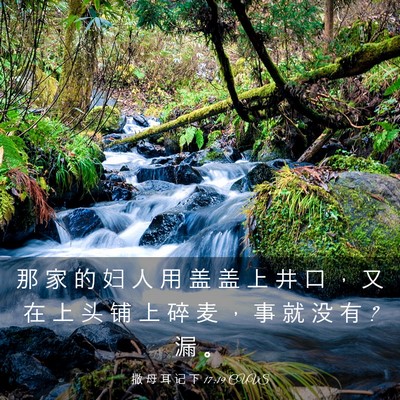 Picture 03 - 撒 母 耳 记 下 17:19 CUVS - 那 家 的 妇 人 用 盖 盖 上 井 口 ， - Bible Verse Picture