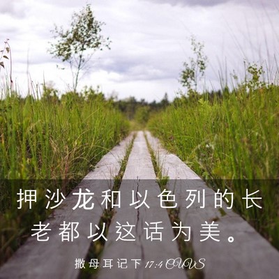 Picture 03 - 撒 母 耳 记 下 17:4 CUVS - 押 沙 龙 和 以 色 列 的 长 老 都 以 - Bible Verse Picture