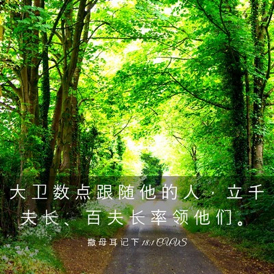 Picture 03 - 撒 母 耳 记 下 18:1 CUVS - 大 卫 数 点 跟 随 他 的 人 ， 立 千 - Bible Verse Picture