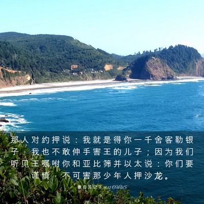 Picture 03 - 撒 母 耳 记 下 18:12 CUVS - 那 人 对 约 押 说 ： 我 就 是 得 你 - Bible Verse Picture