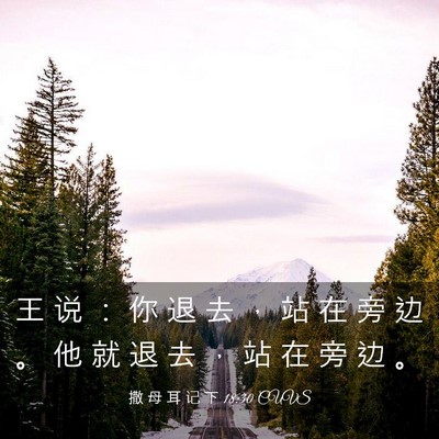 Picture 03 - 撒 母 耳 记 下 18:30 CUVS - 王 说 ： 你 退 去 ， 站 在 旁 边 。 - Bible Verse Picture