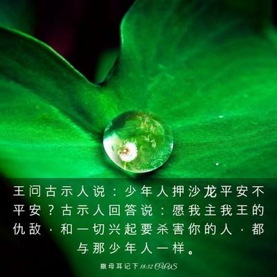 Picture 03 - 撒 母 耳 记 下 18:32 CUVS - 王 问 古 示 人 说 ： 少 年 人 押 沙 - Bible Verse Picture