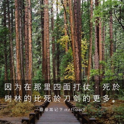 Picture 03 - 撒 母 耳 记 下 18:8 CUVS - 因 为 在 那 里 四 面 打 仗 ， 死 於 - Bible Verse Picture