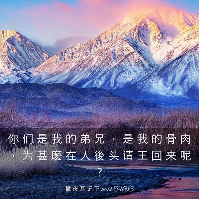 Picture 03 - 撒 母 耳 记 下 19:12 CUVS - 你 们 是 我 的 弟 兄 ， 是 我 的 骨 - Bible Verse Picture