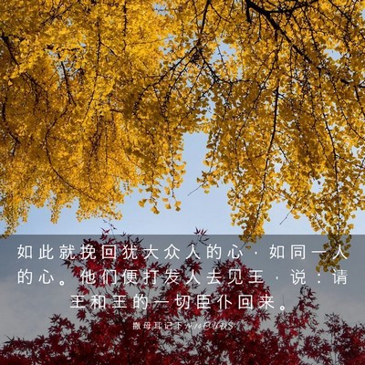 Picture 03 - 撒 母 耳 记 下 19:14 CUVS - 如 此 就 挽 回 犹 大 众 人 的 心 ， - Bible Verse Picture