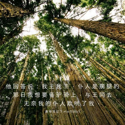 Picture 03 - 撒 母 耳 记 下 19:26 CUVS - 他 回 答 说 ： 我 主 我 王 ， 仆 人 - Bible Verse Picture