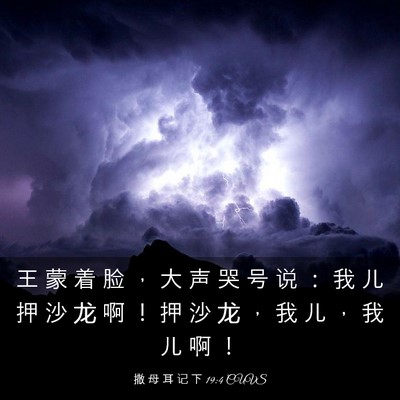Picture 03 - 撒 母 耳 记 下 19:4 CUVS - 王 蒙 着 脸 ， 大 声 哭 号 说 ： 我 - Bible Verse Picture