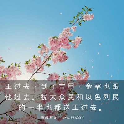 Picture 03 - 撒 母 耳 记 下 19:40 CUVS - 王 过 去 ， 到 了 吉 甲 ， 金 罕 也 - Bible Verse Picture