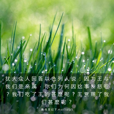Picture 03 - 撒 母 耳 记 下 19:42 CUVS - 犹 大 众 人 回 答 以 色 列 人 说 ： - Bible Verse Picture