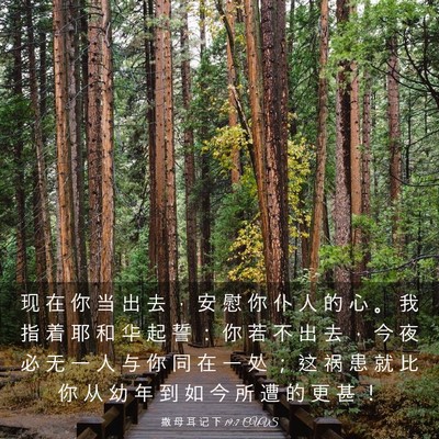 Picture 03 - 撒 母 耳 记 下 19:7 CUVS - 现 在 你 当 出 去 ， 安 慰 你 仆 人 - Bible Verse Picture