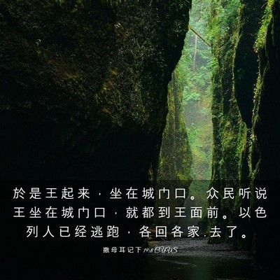 Picture 03 - 撒 母 耳 记 下 19:8 CUVS - 於 是 王 起 来 ， 坐 在 城 门 口 。 - Bible Verse Picture