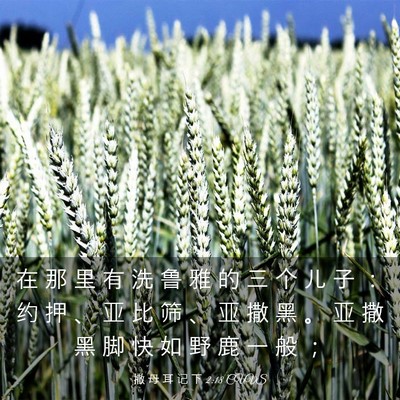 Picture 03 - 撒 母 耳 记 下 2:18 CUVS - 在 那 里 有 洗 鲁 雅 的 三 个 儿 子 - Bible Verse Picture
