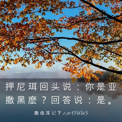 Picture 03 - 撒 母 耳 记 下 2:20 CUVS - 押 尼 珥 回 头 说 ： 你 是 亚 撒 黑 - Bible Verse Picture