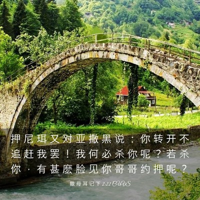 Picture 03 - 撒 母 耳 记 下 2:22 CUVS - 押 尼 珥 又 对 亚 撒 黑 说 ： 你 转 - Bible Verse Picture