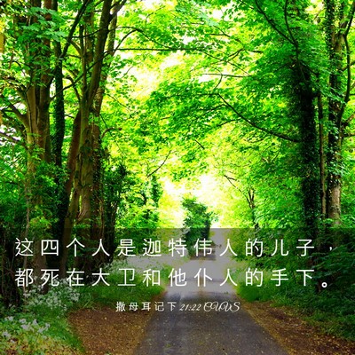 Picture 03 - 撒 母 耳 记 下 21:22 CUVS - 这 四 个 人 是 迦 特 伟 人 的 儿 子 - Bible Verse Picture