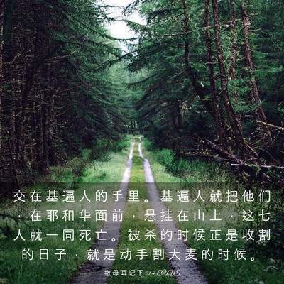 Picture 03 - 撒 母 耳 记 下 21:9 CUVS - 交 在 基 遍 人 的 手 里 。 基 遍 人 - Bible Verse Picture