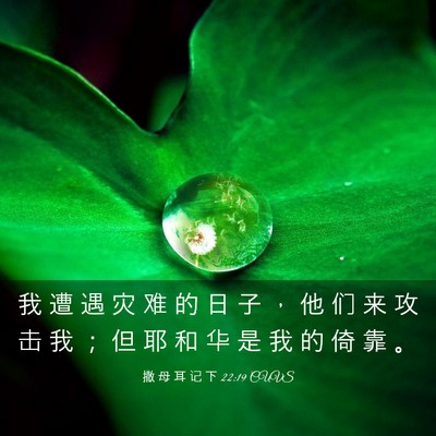 Picture 03 - 撒 母 耳 记 下 22:19 CUVS - 我 遭 遇 灾 难 的 日 子 ， 他 们 来 - Bible Verse Picture