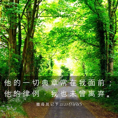 Picture 03 - 撒 母 耳 记 下 22:23 CUVS - 他 的 一 切 典 章 常 在 我 面 前 ； - Bible Verse Picture