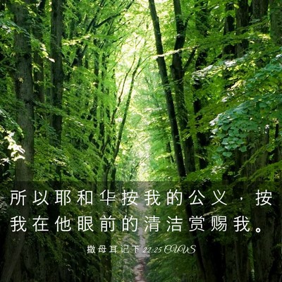 Picture 03 - 撒 母 耳 记 下 22:25 CUVS - 所 以 耶 和 华 按 我 的 公 义 ， 按 - Bible Verse Picture