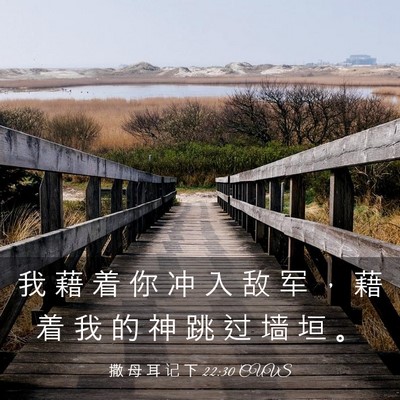 Picture 03 - 撒 母 耳 记 下 22:30 CUVS - 我 藉 着 你 冲 入 敌 军 ， 藉 着 我 - Bible Verse Picture