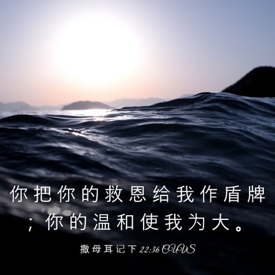 Picture 03 - 撒 母 耳 记 下 22:36 CUVS - 你 把 你 的 救 恩 给 我 作 盾 牌 ； - Bible Verse Picture