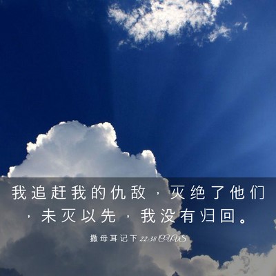 Picture 03 - 撒 母 耳 记 下 22:38 CUVS - 我 追 赶 我 的 仇 敌 ， 灭 绝 了 他 - Bible Verse Picture