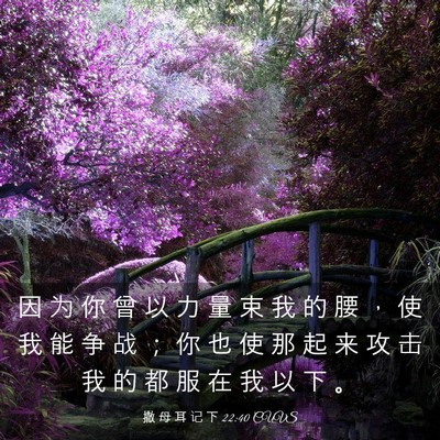 Picture 03 - 撒 母 耳 记 下 22:40 CUVS - 因 为 你 曾 以 力 量 束 我 的 腰 ， - Bible Verse Picture