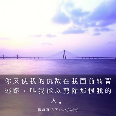 Picture 03 - 撒 母 耳 记 下 22:41 CUVS - 你 又 使 我 的 仇 敌 在 我 面 前 转 - Bible Verse Picture