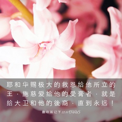 Picture 03 - 撒 母 耳 记 下 22:51 CUVS - 耶 和 华 赐 极 大 的 救 恩 给 他 所 - Bible Verse Picture