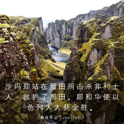 Picture 03 - 撒 母 耳 记 下 23:12 CUVS - 沙 玛 却 站 在 那 田 间 击 杀 非 利 - Bible Verse Picture