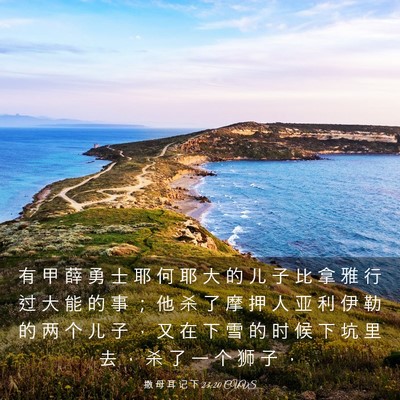 Picture 03 - 撒 母 耳 记 下 23:20 CUVS - 有 甲 薛 勇 士 耶 何 耶 大 的 儿 子 - Bible Verse Picture