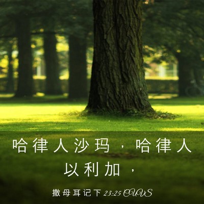 Picture 03 - 撒 母 耳 记 下 23:25 CUVS - 哈 律 人 沙 玛 ， 哈 律 人 以 利 加 - Bible Verse Picture