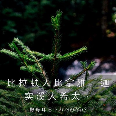 Picture 03 - 撒 母 耳 记 下 23:30 CUVS - 比 拉 顿 人 比 拿 雅 ， 迦 实 溪 人 - Bible Verse Picture