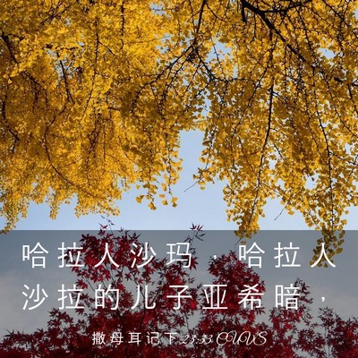 Picture 03 - 撒 母 耳 记 下 23:33 CUVS - 哈 拉 人 沙 玛 ， 哈 拉 人 沙 拉 的 - Bible Verse Picture