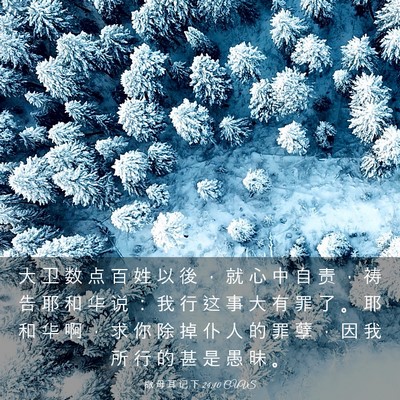 Picture 03 - 撒 母 耳 记 下 24:10 CUVS - 大 卫 数 点 百 姓 以 後 ， 就 心 中 - Bible Verse Picture