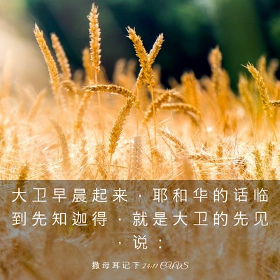 Picture 03 - 撒 母 耳 记 下 24:11 CUVS - 大 卫 早 晨 起 来 ， 耶 和 华 的 话 - Bible Verse Picture