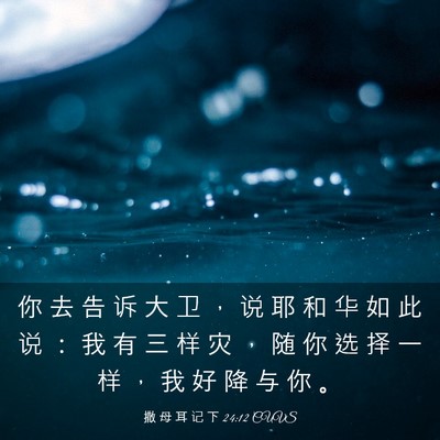 Picture 03 - 撒 母 耳 记 下 24:12 CUVS - 你 去 告 诉 大 卫 ， 说 耶 和 华 如 - Bible Verse Picture
