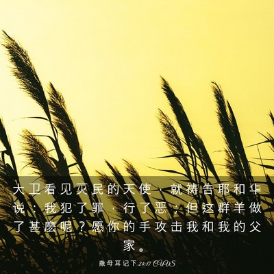 Picture 03 - 撒 母 耳 记 下 24:17 CUVS - 大 卫 看 见 灭 民 的 天 使 ， 就 祷 - Bible Verse Picture