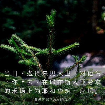 Picture 03 - 撒 母 耳 记 下 24:18 CUVS - 当 日 ， 迦 得 来 见 大 卫 ， 对 他 - Bible Verse Picture
